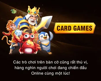 Hướng dẫn cho người mới